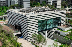 서울 자치구에서 가장 큰 서재! 인문예술로 물든 강동중앙도서관 시범운영