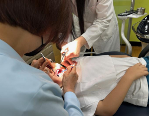 송파구, ˝개학 전 불소도포 받으세요!˝