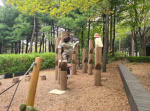 성동구, 유아숲체험원 더 안전하고 쾌적하게 바뀐다
