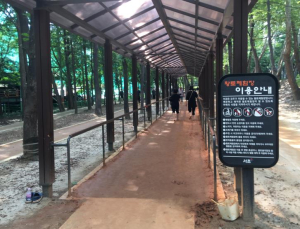 서초구 `길마중 초록숲길`, 도심 속 명품 숲길로 재탄생!