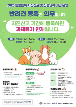 동대문구, `2025년 동물등록 자진신고 기간` 운영