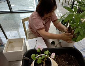 강북구, `찾아가는 반려식물 클리닉` 23일 개최