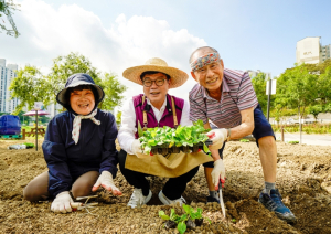 동대문구, 하반기 DDM 도시농업 체험학습장 개장