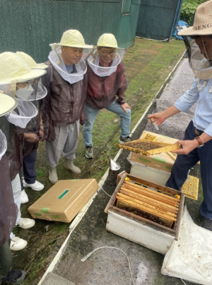 구로구, 도심 속 생태교육 ‘도시양봉체험교실’ 수강생 모집