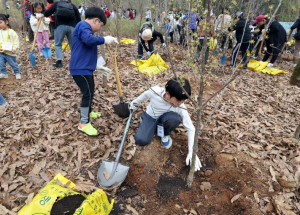 미래를 심는 실천, 노원부터 푸르게! 지구를 더 푸르게! 노원구, `100만 그루 나무심기` 본격 추진