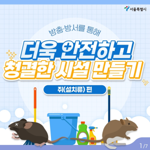 서울시, 하수도 정비·쓰레기 관리 철저… 도심 출몰 쥐·야생너구리 피해줄인다