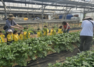 서울시, `허브 심고 가마솥에 찐 옥수수 먹고` 농업으로 힐링하러 오세요!