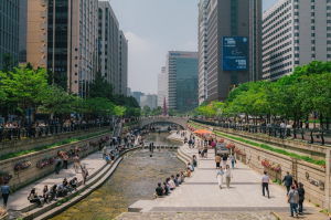 서울시설공단, 청계천 1km 구간에 5일 가을 꽃길 조성