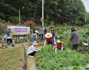 청년·다문화 손잡은 `다모여봉사단` 송파구 마천2동에 따뜻한 변화 만들어