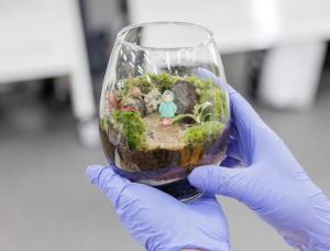 강서구 화곡3동, 홀몸 어르신 위한 원데이클래스로 고립감 해소