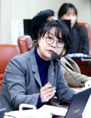 김혜영 시의원, 서울시 민간축제 지원 규정 개선 요구… ˝국위선양 축제는 중단 없이 지속 지원 필요˝