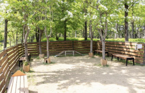 강서구, 반려견 쉼터 어울림공원에 신규 조성...총 4곳 운영