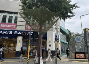 서대문구, 가을철 은행나무 열매로 시민 불편 없도록 선제 대응