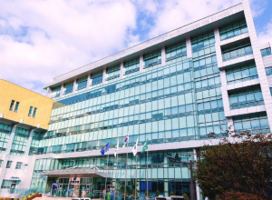 은평구, 전 직원 대상 맞춤형 적극행정 기본 교육 실시