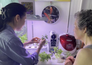 스마트 화분, 서울 중구 어르신들 새 벗 되다