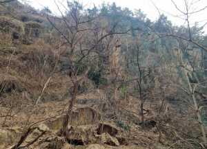 서울시 서대문구, 산사태취약지역 및 급경사지 피해 예방 만전