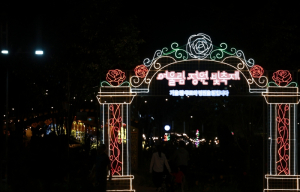 구로구, 안양천 수놓은 ‘어울림정원 빛축제’ 개막
