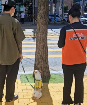서대문구 제2기 댕댕이 순찰단 선발 추진