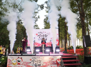 마포구 붉게 물든 숲길, 사랑하기 딱 좋은 날! 제3회 상사화 축제 개최