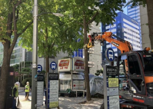 서울 중구, 시민 불편 없도록 은행나무 열매 조기 채취