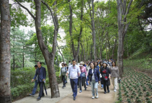서초구, 도심 속 힐링명소 `길마중 초록숲길 건강걷기` 개최