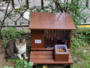 서초구의 따뜻한 동행, 길고양이 급식소 새단장 나서
