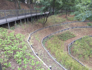 구로구, 온수근린공원 문학지구 `연결 숲길` 조성 완료