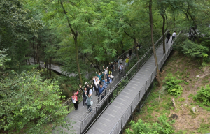 중구 남산자락숲길, 가을 힐링 산책 명소로 `인기 만점!`