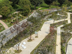 성동구, 응봉산과 한강 품은 `용비쉼터 정원` 조성