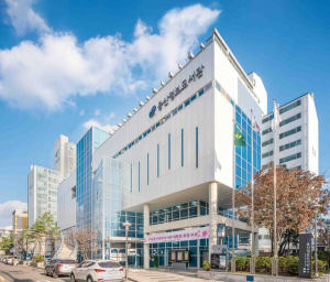 은평구, 구립 증산정보도서관 개관 17주년 맞이 지역과 함께하는 문화행사 운영