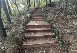 서대문구 궁동산 등산로 정비로 쾌적한 산행 환경 조성