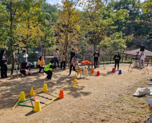은평구, `은평댕댕 가을소풍` 성황리에 마쳐
