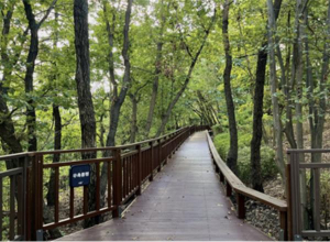 서초구, 서리풀공원 무장애숲길 1·2구간 연결해 `모두의 숲길`로 조성!