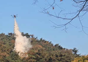 서울시, 도심형 산불 대응력 강화 위한 `2025 산불진화 합동훈련` 실시