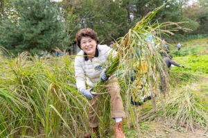 강북구의회 김명희의장, ‘강북도시농업체험장 2025 추수행사’ 참석