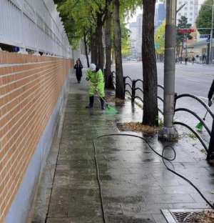 서울 중구, 늦가을 낙엽 수거·빗물받이 청소 집중