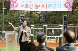 용산구, 응봉근린공원에 `서울형 어르신놀이터` 조성
