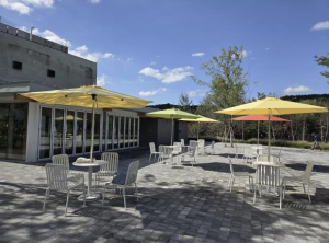 양천구, 수십 년 방치돼 있던 도시공원을 `지양숲공원`으로 재탄생