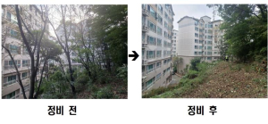 동작구, 생활권 연접부 `위험 수목` 전면 정비 ⋯ 주민 불안 해소!