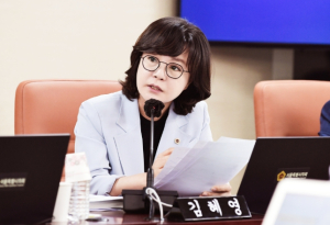 김혜영 서울시의원, 외국인 환자 대상 미용성형 부가세 환급제도 연장 촉구··· “서울 의료관광 신뢰와 경쟁력 확보 위해 연장 불가피”