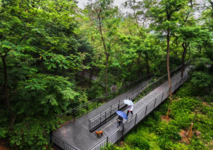 서울 중구, 일상의 품격 높이는 남산자락숲길은 진화중!