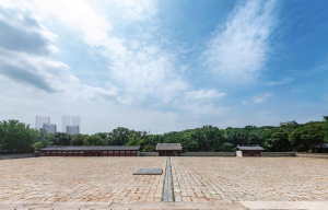 서울시, 침체된 세운지구 빌딩숲과 나무숲이 공존하는 `녹지생태도심`으로 재탄생