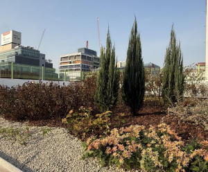 성동구, 도심으로 신선한 공기 불어넣는 `성수초 바람길숲` 조성