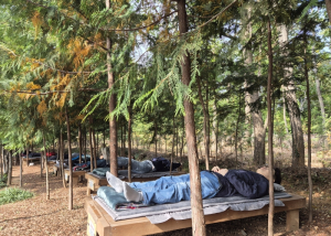 세계가 주목한 도심 속 치유 모델! 노원구, ‘불암산 힐링타운’서 세계 치유 전문가들 맞이