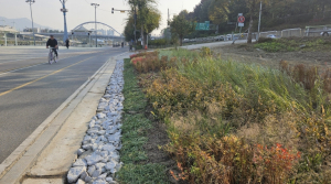 동대문구, 중랑천 이화교 일대 ‘그라스원’ 조성 완료