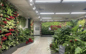 용산구, 삼각지역·녹사평역 `서울 아래숲길` 크리스마스 맞이 새 단장