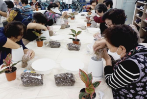금천구, 반려식물 전시회 개최... 어르신 작품 한자리에