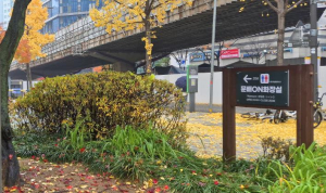 용산구 ˝화장실 없어 불편했죠?˝… 주민 손으로 만든 `문배ON 화장실`