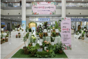 도봉구청 1층에서 돌봄 어르신이 가꾼 `반려식물` 전시회 열려