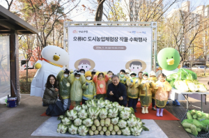 구로구, 도시농업체험장에서 ‘작물 수확 및 김장 체험’ 행사 개최